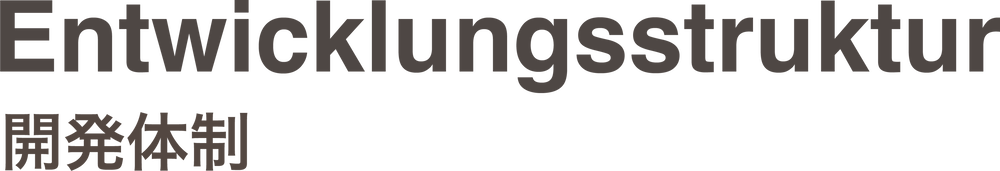 Entwicklungsstruktur 開発体制