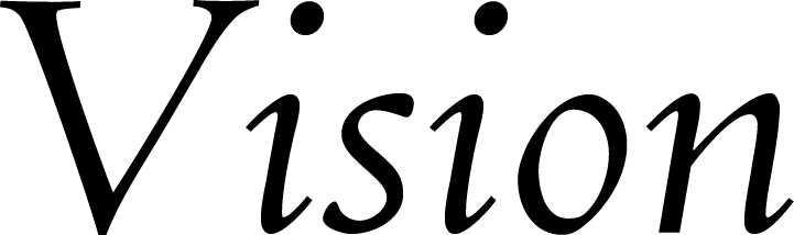 Vision